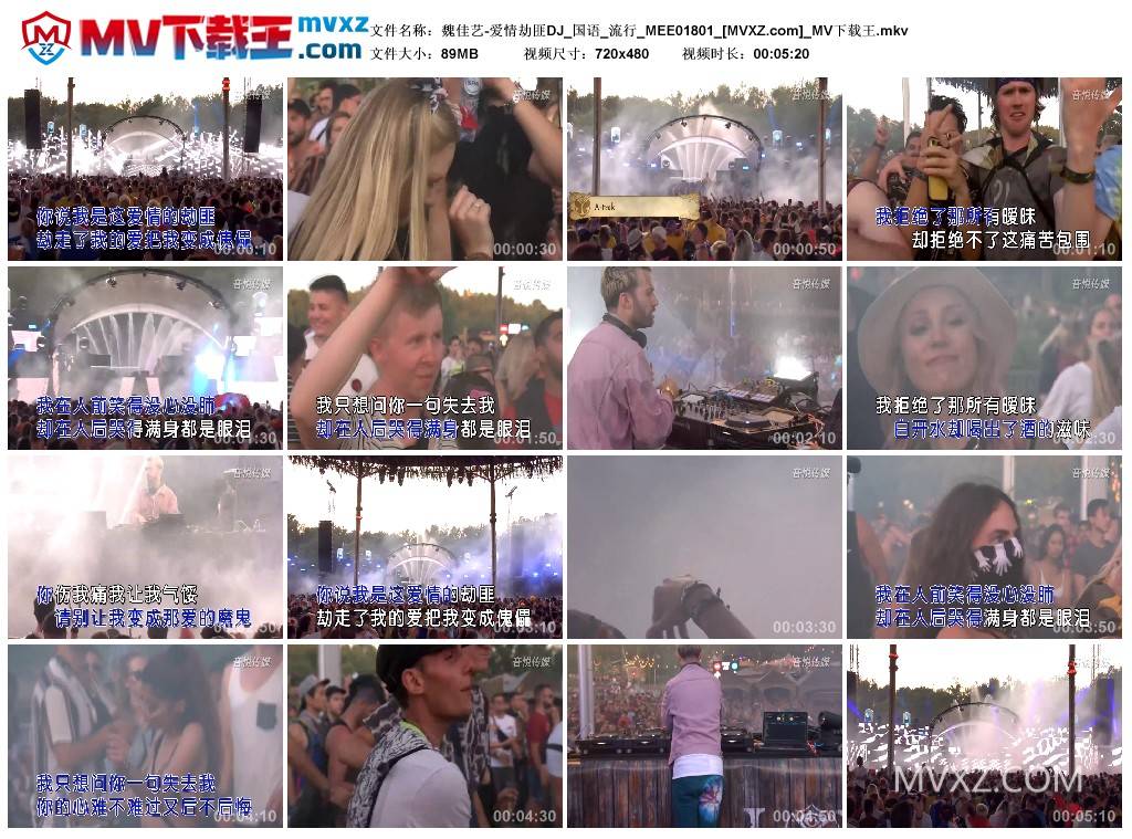 魏佳艺-爱情劫匪DJ_国语_流行_MEE01801